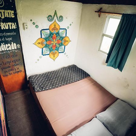 Viejo Lobo Hostel กาโบโปโลนิโอ ภายนอก รูปภาพ