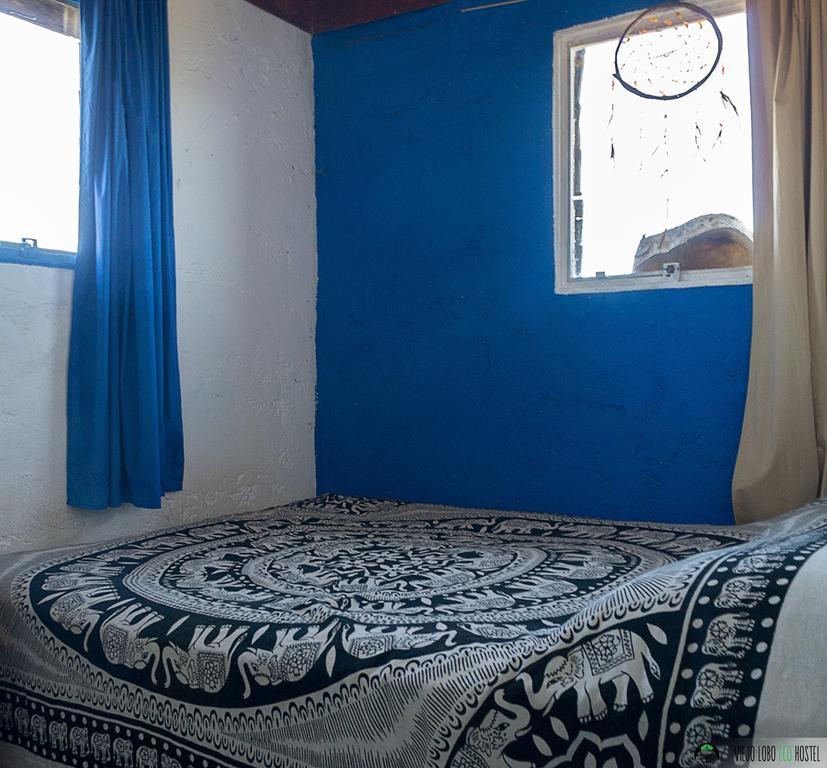 Viejo Lobo Hostel กาโบโปโลนิโอ ห้อง รูปภาพ
