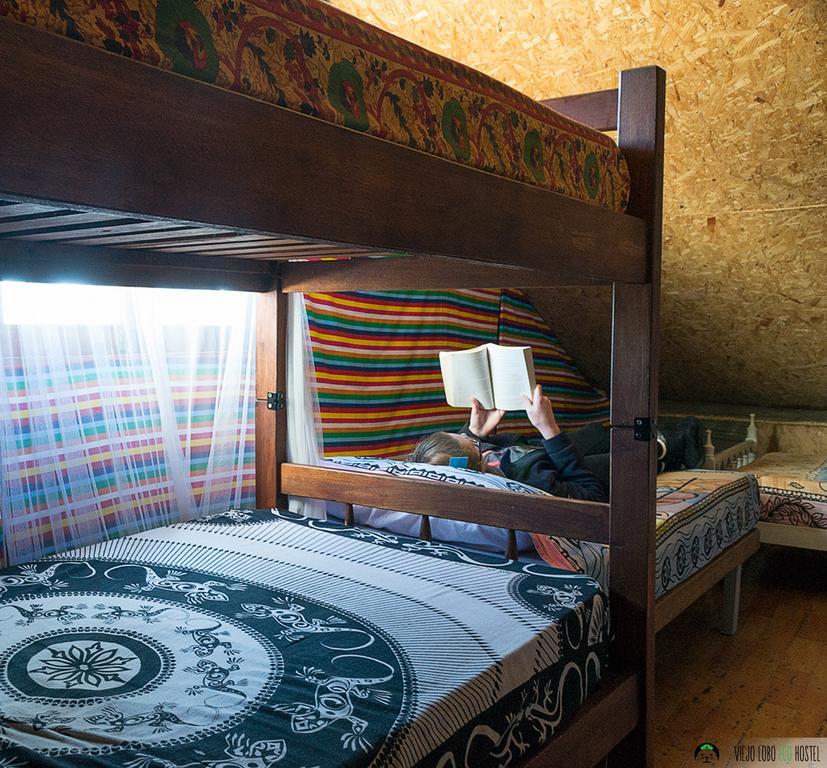 Viejo Lobo Hostel กาโบโปโลนิโอ ห้อง รูปภาพ