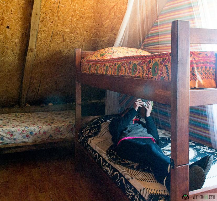 Viejo Lobo Hostel กาโบโปโลนิโอ ภายนอก รูปภาพ