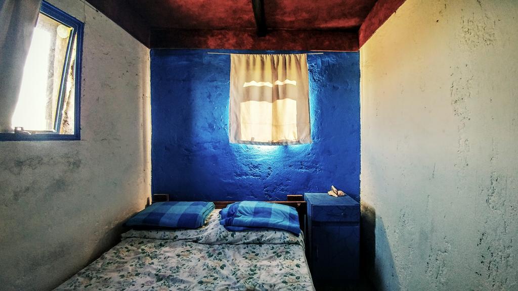 Viejo Lobo Hostel กาโบโปโลนิโอ ภายนอก รูปภาพ