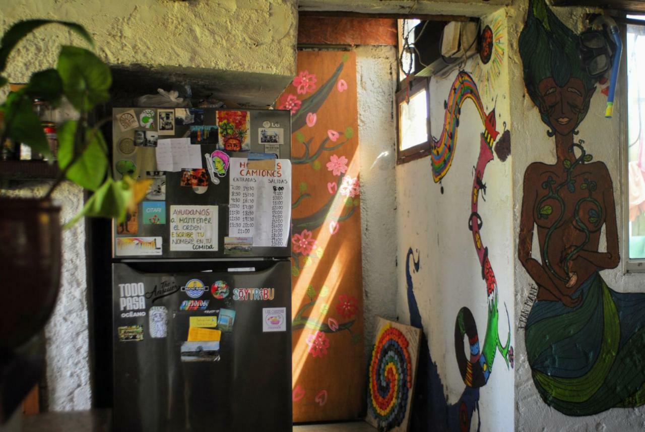 Viejo Lobo Hostel กาโบโปโลนิโอ ภายนอก รูปภาพ