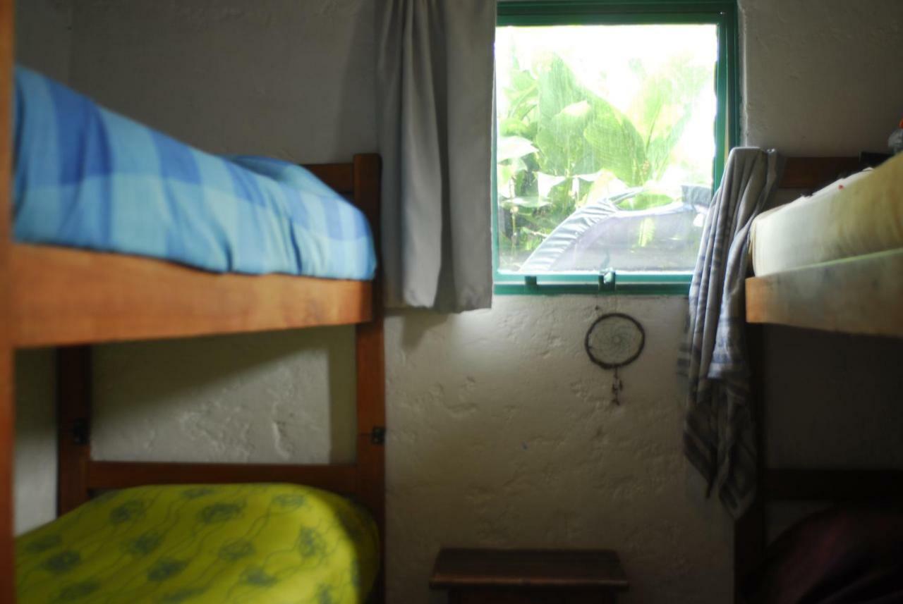 Viejo Lobo Hostel กาโบโปโลนิโอ ภายนอก รูปภาพ