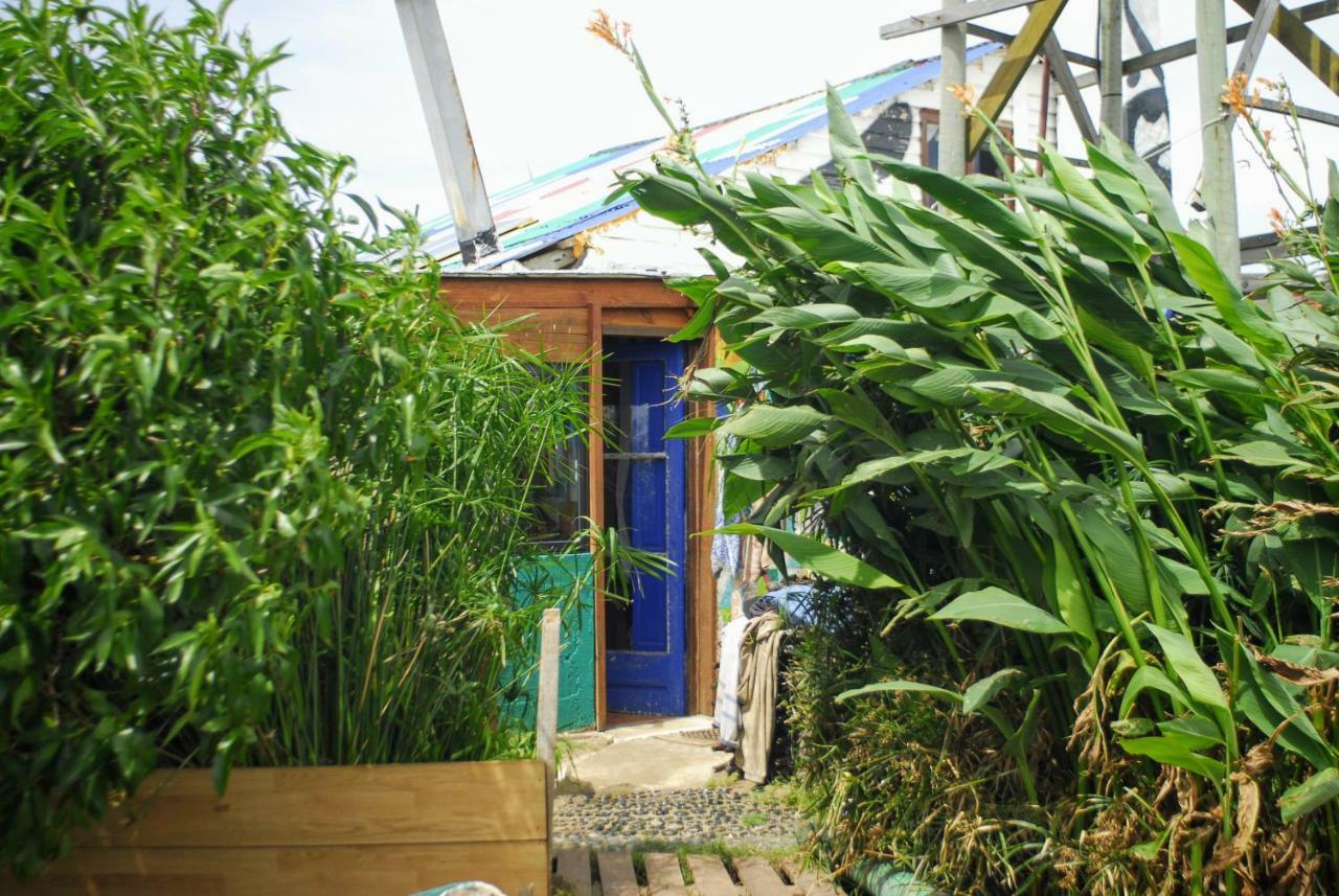 Viejo Lobo Hostel กาโบโปโลนิโอ ภายนอก รูปภาพ