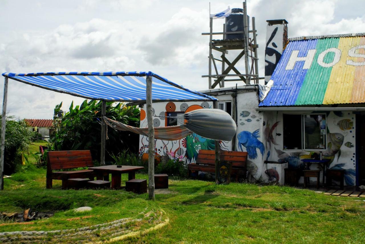 Viejo Lobo Hostel กาโบโปโลนิโอ ภายนอก รูปภาพ